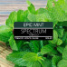 Табак для кальяна Spectrum Classic line - Epic Mint (Мощная мята) 100г