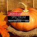 Табак для кальяна Spectrum Classic line - Jack-o-lantern (Тыква) 100г