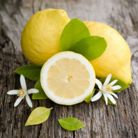 Табак для кальяна Tangiers NOIR Lemon Blossom (Цветение Лимона) 250г