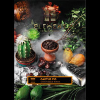Табак для кальяна Element Земля - Cactus Fig (Кактусовый финик) 25г