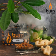 Табак для кальяна Burn Guava (Гуава) 200г