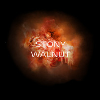 Смесь для кальяна Do You - Stony Walnut (Грецкий орех) 50г