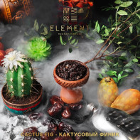 Табак для кальяна Element Воздух - Cactus Fig (Кактусовый финик) 25г