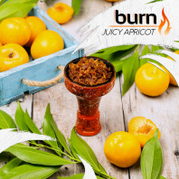 Табак для кальяна Burn Juicy Apricot (Спелый абрикос) 20г