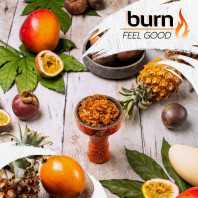 Табак для кальяна Burn Feel Good (Манго маракуйя банан) 20г