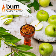 Табак для кальяна Burn Famous Apple (Ледяное яблоко) 20г
