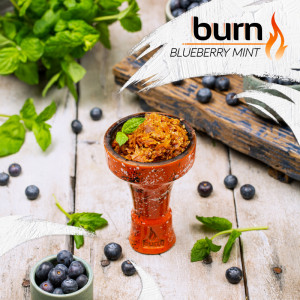 Табак для кальяна Burn Blueberry mint (Черника с мятой) 20г