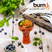 Табак для кальяна Burn Blueberry mint (Черника с мятой) 100г