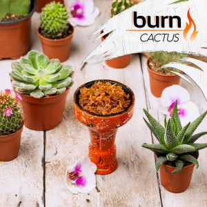 Табак для кальяна Burn Cactus (Кактус) 100г