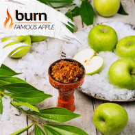 Табак для кальяна Burn - Famous Apple (Ледяное яблоко) 200г