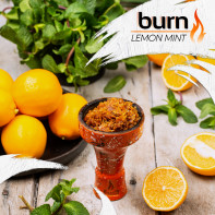 Табак для кальяна Burn Lemon Mint (Лимон мята) 200г