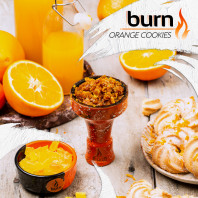 Табак для кальяна Burn - Orange Cookies (Печенье с апельсином) 100гр