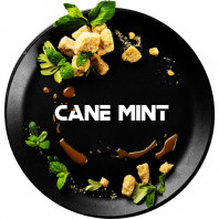 Табак для кальяна Black Burn Cane Mint (Тростниковая мята) 100гр
