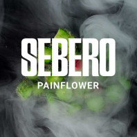 Табак для кальяна Sebero - Painflower (Кактус) 40г