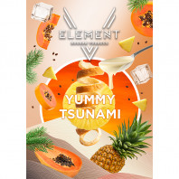 Табак для кальяна Element 5 Элемент - Yummy Tsunami (экзотические фрукты,тропические фрукты Сливки Елка) 25г