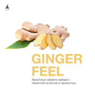 Табак для кальяна Mattpear - Ginger Feel (Имбирь) 50г