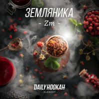 Табак для кальяна Daily Hookah - Земляника 250г