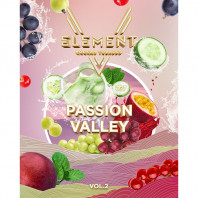 Табак для кальяна Element 5 Элемент - Passion Valley (Фрукты Ягоды Огурец) 25г