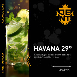 Табак для кальяна JENT - Havana 29° (Мохито) 100г