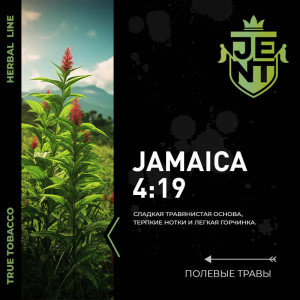 Табак для кальяна JENT - Jamaica 4 : 19 (Полевые травы) 100г