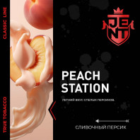 Табак для кальяна JENT - Peach Station (Персик Слива) 100г
