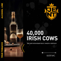 Табак для кальяна JENT - 40000 Irish Cows (Бейлис) 30г