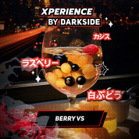 Табак для кальяна Xperience by Darkside  - Berry VS (Виноград Малина Черная Смородина) 30г