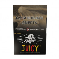 Табак для кальяна Хулиган - Juicy (Фруктовая жвачка) 25г